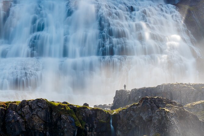 Dynjandi Waterfall & Iceland Farm Visit Tour - A working farm near Þingeyri