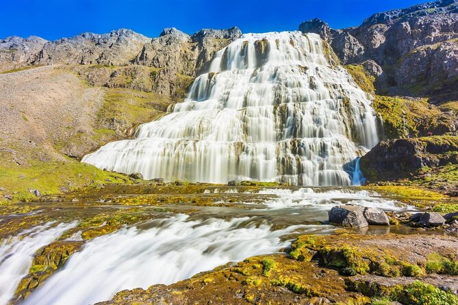 Dynjandi Waterfall & Iceland Farm Visit Tour - How the guides shape the experience