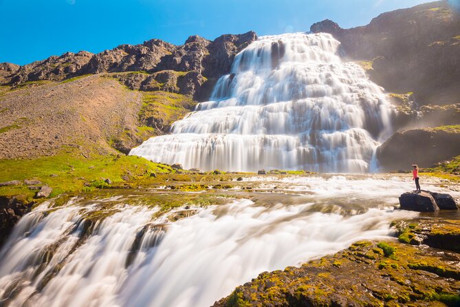 Dynjandi Waterfall & Iceland Farm Visit Tour - Is $149 a fair price?