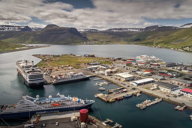 Dynjandi Waterfall & Iceland Farm Visit Tour - Who should book this outing?
