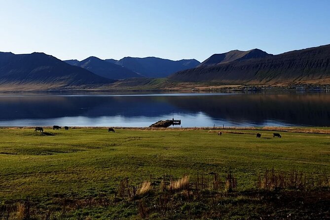 Dynjandi Waterfall & Iceland Farm Visit Tour - Practical tips for a better day
