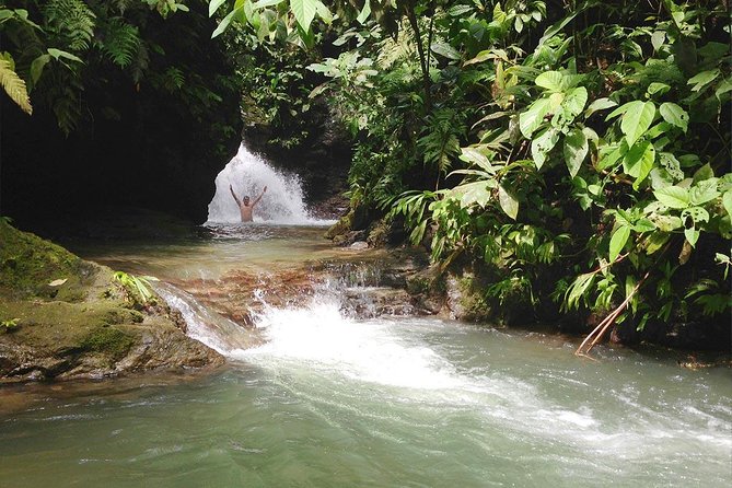 Ebano Waterfalls and Rainforest Safari Tour - Following five streams and two bridges
