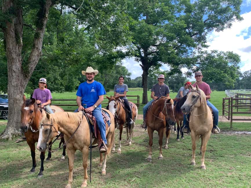 El Limón: Waterfall Horseriding Tour with Lunch - Key points to know before you go