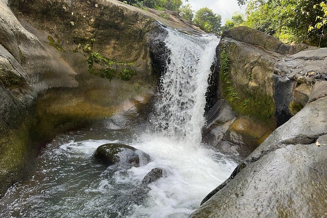 El Yunque & Beach Tour: Waterslide, Waterfall, Food, & Photos - The five-minute walk into El Yunque