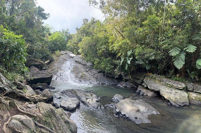 El Yunque & Beach Tour: Waterslide, Waterfall, Food, & Photos - A guide-led experience with room for family fun