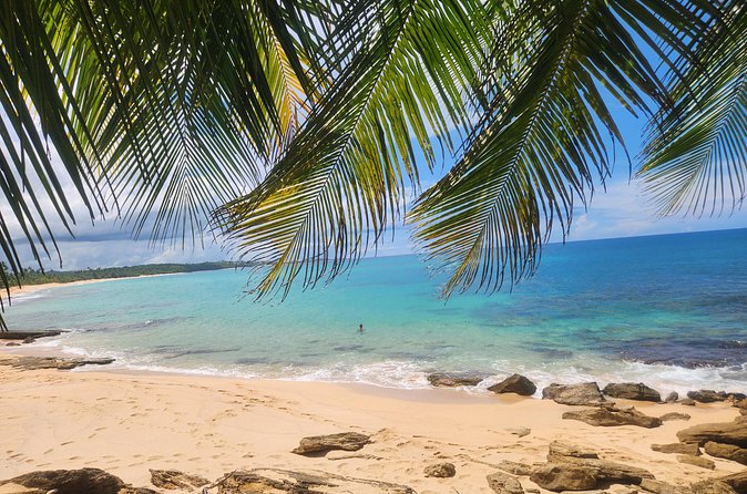 El Yunque & Beach Tour: Waterslide, Waterfall, Food, & Photos - Food and the move to Luquillo Beach