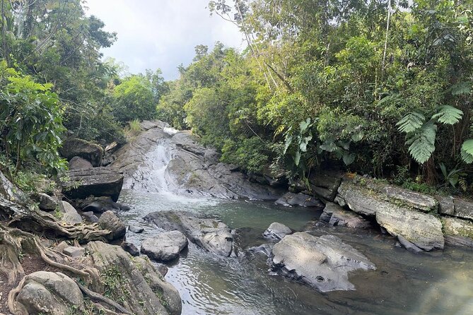 El Yunque & Beach Tour: Waterslide, Waterfall, Food, & Photos - The natural slide and swimming pool