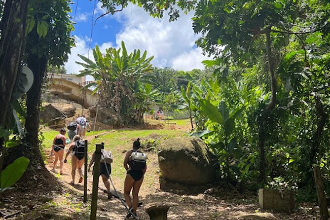 El Yunque Waterslide and Waterfall Tour with Food and Photos - Hiking into El Yunque by a private road