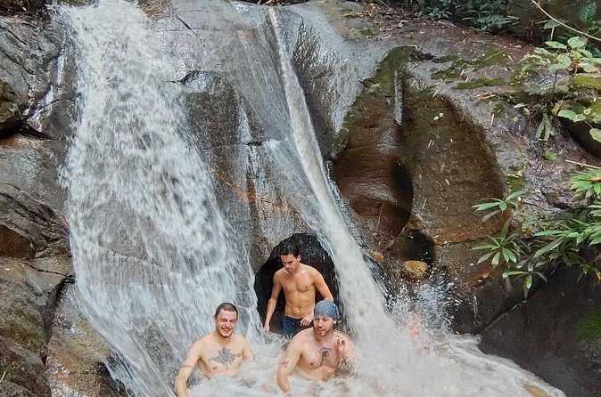 Elephant Experience and Hidden Jungle Waterfall Chiang Mai - Six hours with transport included