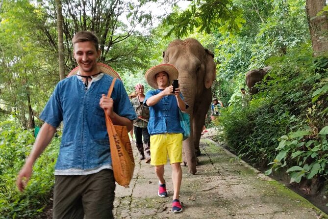 Elephant Experience and Hidden Jungle Waterfall Chiang Mai - Who should book this experience?