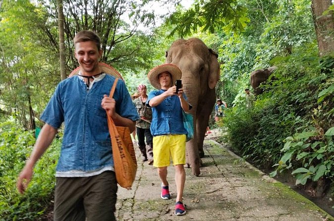 Elephant Experience and Hidden Jungle Waterfall Chiang Mai - Practical tips for a smoother day