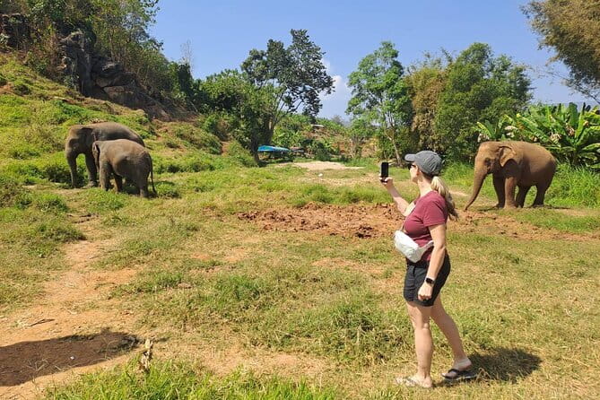Elephant Sanctuary, Wat Ban Den & Sticky Waterfall - Guides Limmy and Pai shape the experience
