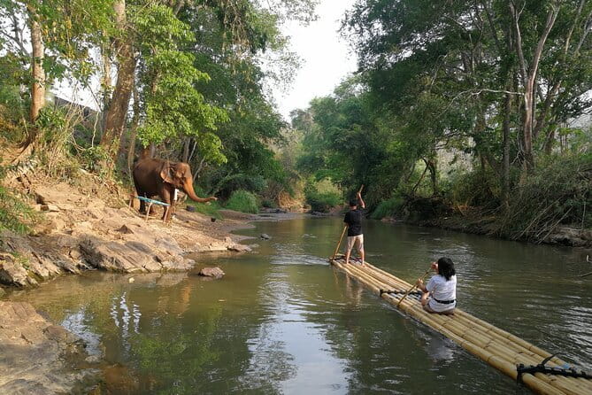 Elephant Sanctuary + Waterfall + Bamboo Rafting One Day Trip - The day in four quick points