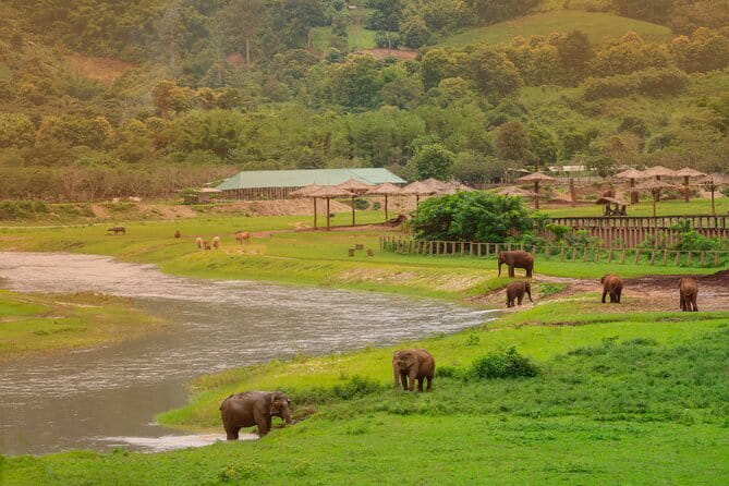 Elephant Sanctuary + Waterfall + Bamboo Rafting One Day Trip - Why this Mae Wang day trip works