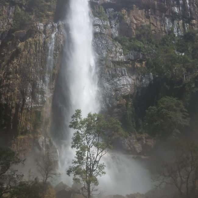 Ella: All-Inclusive Diyaluma and Ravana Waterfalls Day Tour - Upper Diyaluma and the jungle walk