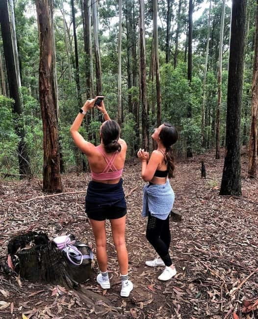 Ella: Ella Rock, 9 Arch, Little Adams Peak, & Waterfall Tour - Kithalella View Point and the smaller stops