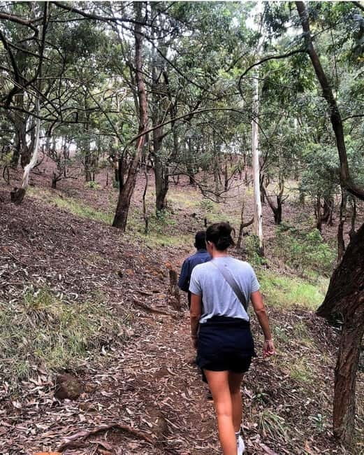 Ella: Ella Rock, 9 Arch, Little Adams Peak, & Waterfall Tour - Little Adam’s Peak and the final view