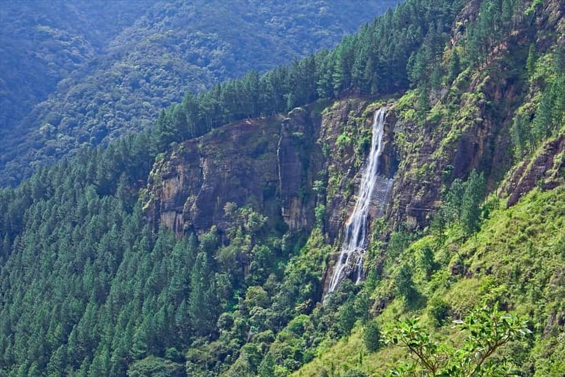 Ella: Waterfall hunting Hike to Bambarakanda and Lanka Falls - The 75-minute train ride from Ella to Ohiya