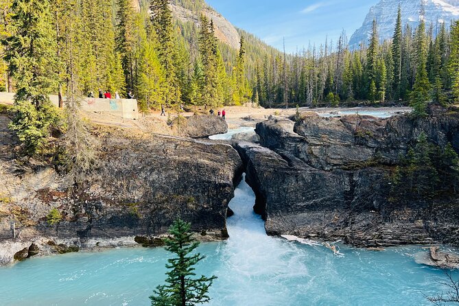 Emerald Lake,Natural Bridge, Wapta Falls & Takakkaw Falls in Yoho - Key Things to Know Before You Book