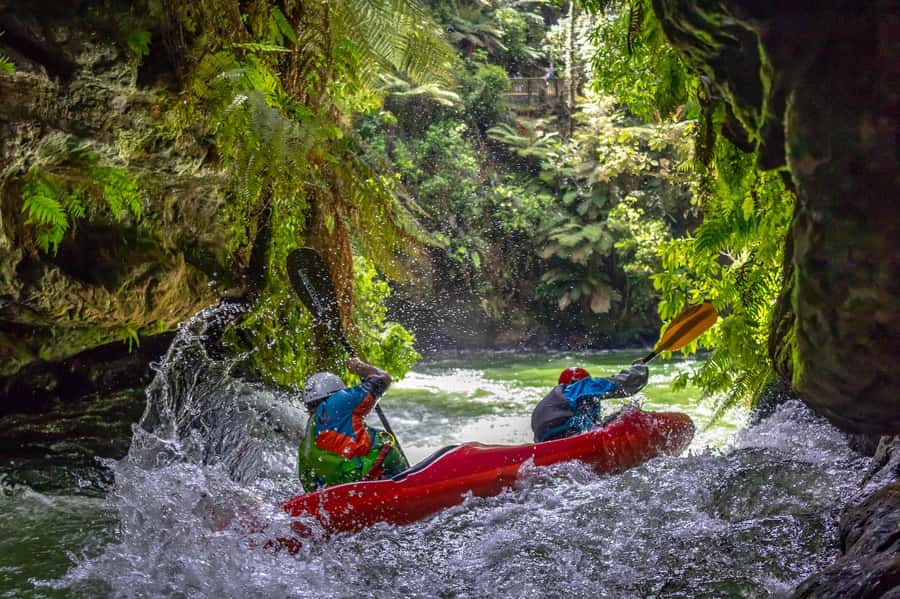 Epic Tandem Kayak Tour down the Kaituna River Waterfalls - The native bush gorge between the rapids