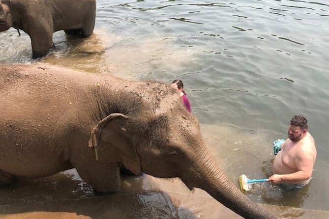 Erawan Waterfall and Elephant care from Bangkok -Private Tour - Reaching Erawan Waterfall Around 2:00 p.m.