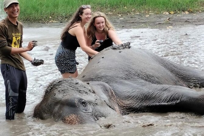 Erawan Waterfall and Elephant care from Bangkok -Private Tour - Returning to Bangkok After 4:00 p.m.
