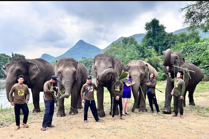 Erawan Waterfall and Elephant care from Bangkok -Private Tour - What the $203.28 Price Really Covers