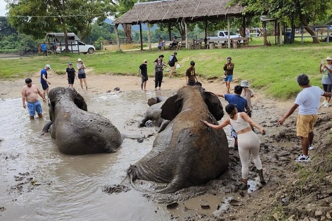 Erawan Waterfall and Elephant care from Bangkok -Private Tour - Who Will Enjoy This Tour Most