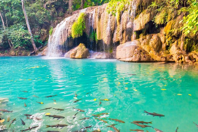 Erawan Waterfall and Elephant Care: Private Tour to Kanchanabur - What the $227.66 price includes