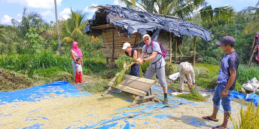 Exclusive Tetebatu: Waterfall, Rice Fields, Monkey & Weaving - Why this Tetebatu day works so well
