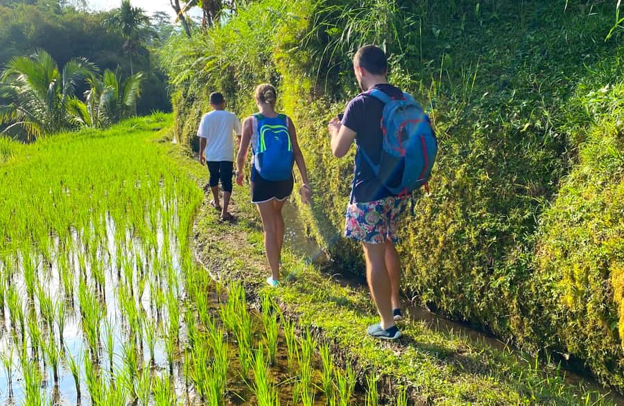 Exclusive Tetebatu: Waterfall, Rice Fields, Monkey & Weaving - Tetebatu and the one-hour rice-field walk