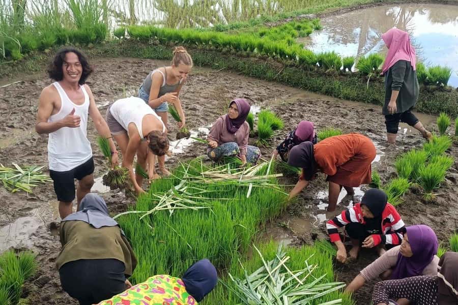Exclusive Tetebatu: Waterfall, Rice Fields, Monkey & Weaving - Transport, guides, and the private-group advantage