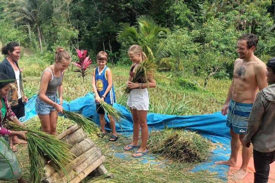 Exclusive Tetebatu: Waterfall, Rice Fields, Monkey & Weaving - What the $39 price really covers