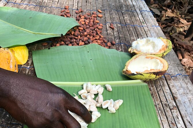 Experience Boti Waterfalls, Aburi Botanical Gardens & Tetteh Quarshie Cocoa Farm - Leaving Accra for the Akuapem Hills