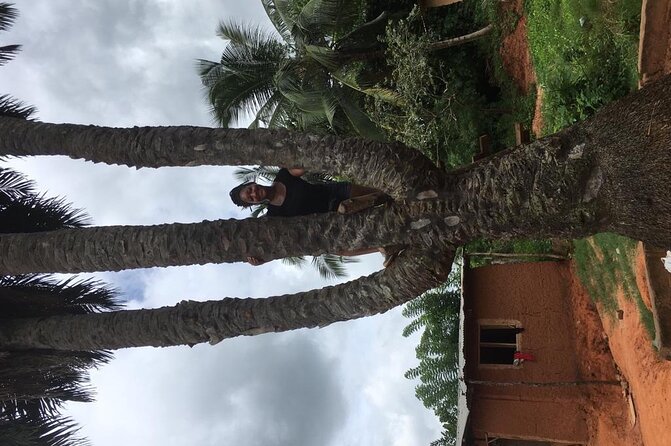 Experience Boti Waterfalls, Aburi Botanical Gardens & Tetteh Quarshie Cocoa Farm - Asenema Waterfalls adds one last nature stop