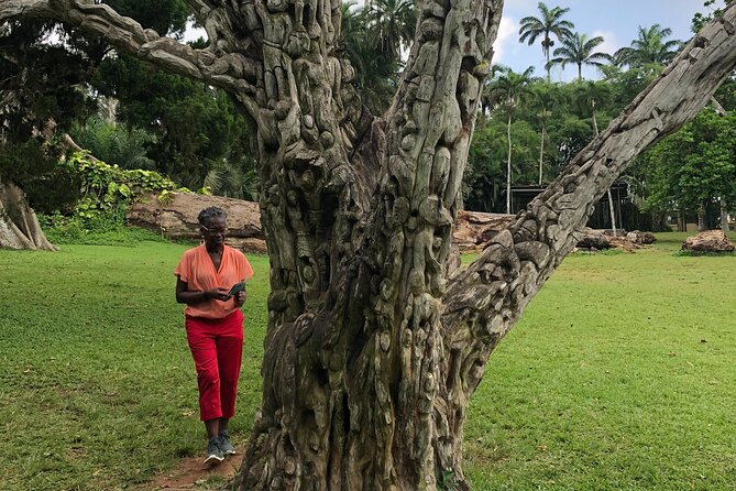 Experience Boti Waterfalls, Aburi Botanical Gardens & Tetteh Quarshie Cocoa Farm - Timing, comfort and cancellation