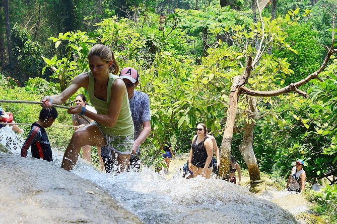 Experience Elephant Sanctuary + Sticky Waterfall - Who will enjoy this Chiang Mai day trip