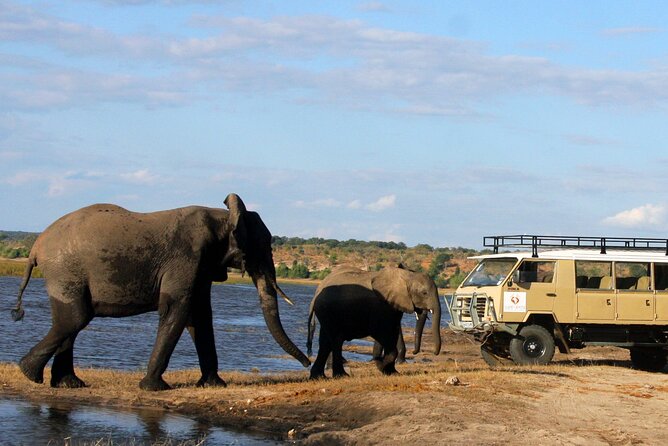 Explore Chobe National Park With a Day Trip from Victoria Falls - What the $217 price really includes
