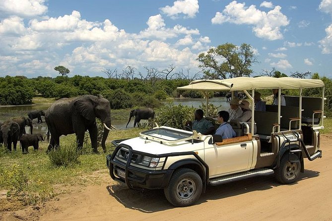 Explore Chobe National Park With a Day Trip from Victoria Falls - Who will enjoy this safari most