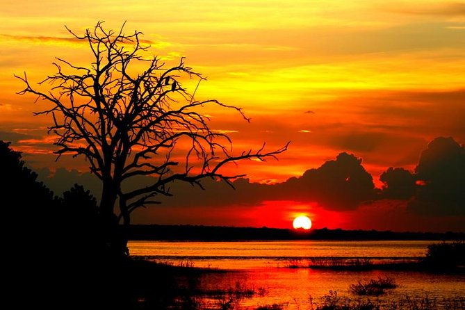 Explore Chobe National Park With a Day Trip from Victoria Falls - The 7:00 am departure and border crossing