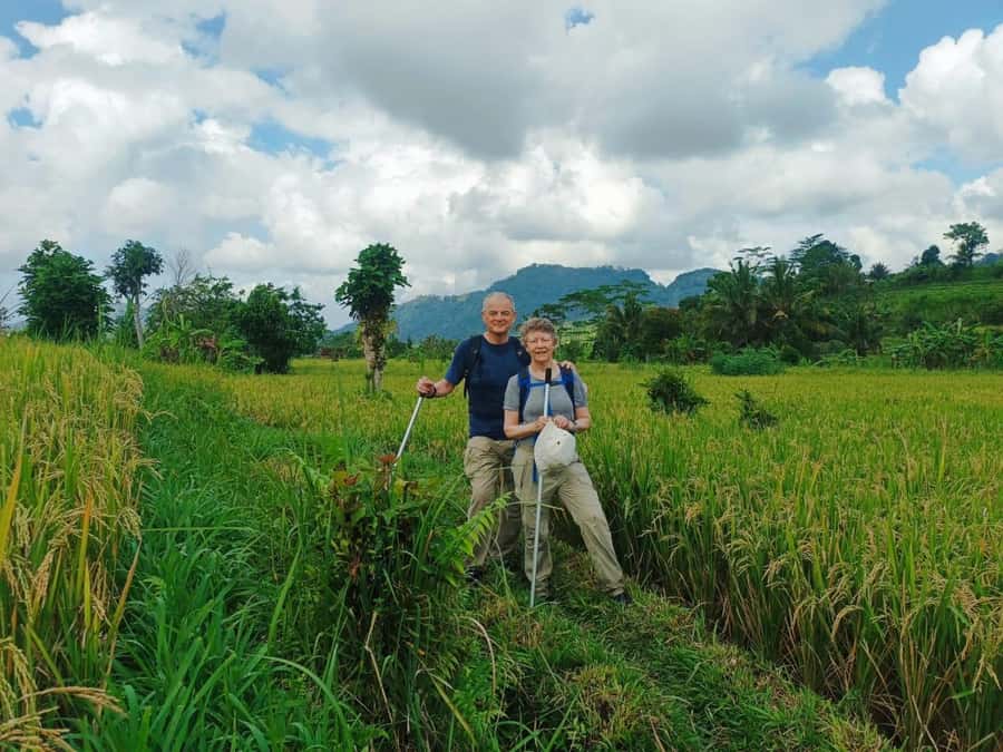 Explore rice terraces munduk & waterfall trekking experience - The two-hour Munduk walk