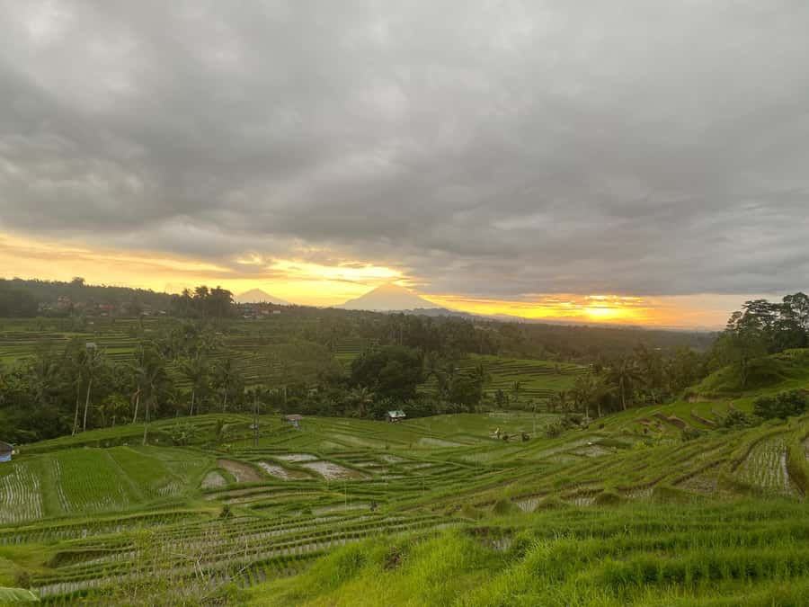 Explore rice terraces munduk & waterfall trekking experience - Lunch with a local touch