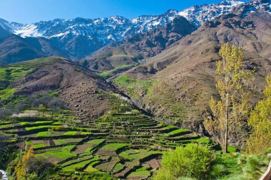 Explore the Atlas Mountains & waterfalls - Half Day Tour - Key points at a glance