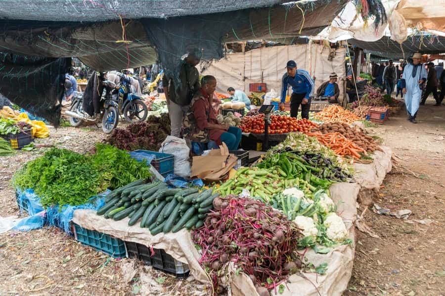 Explore the Atlas Mountains & waterfalls - Half Day Tour - Learning about Berber life along the route