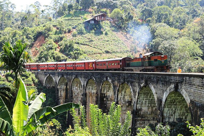 Explore the best of Ella. Hiking, waterfalls and cultural tour - Lunch, rice farms, and the everyday side of Ella
