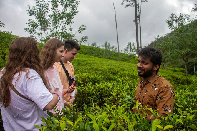 Explore the best of Ella. Hiking, waterfalls and cultural tour - Ella village temple and Buddhist philosophy