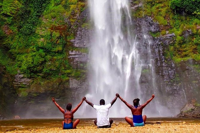 Explore Wli Waterfalls, Mountain Afadjato & Tafi Atome Monkey Sanctuary - Meeting the Mona monkeys at Tafi Atome