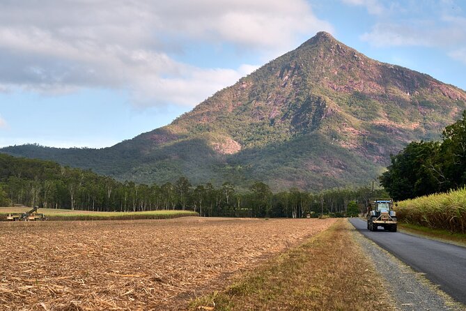 Explorer Tour by Cairns Waterfalls - Walshs Pyramid for a final photograph