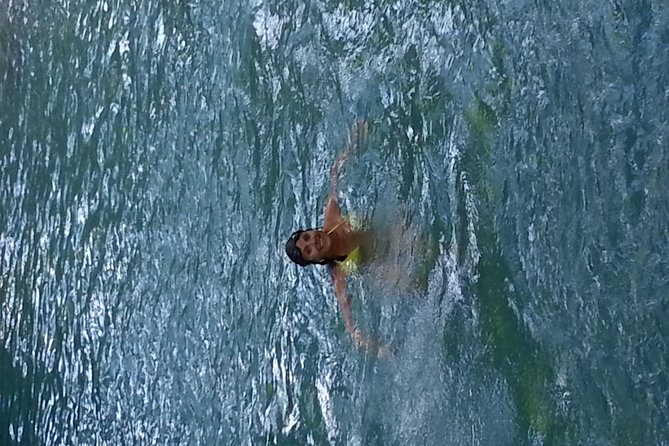 Falmouth Dunns River Falls and Blue Hole Excursion - Should you book the Blue Hole and Dunn’s River Falls tour?