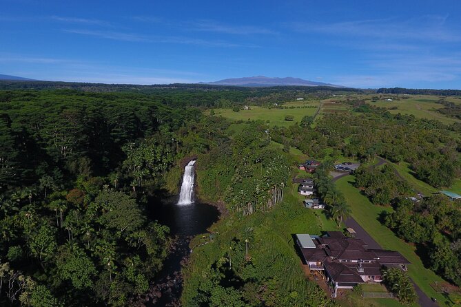 Farm to Table Cooking Class at Kulaniapia Falls - Who will enjoy this morning most